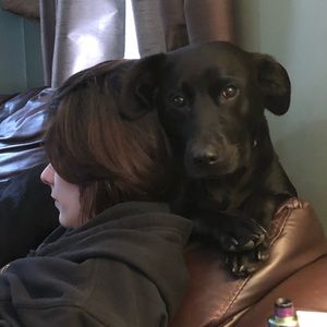 Meet your Posher, Nicholas